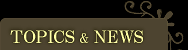 �g�s�b�N�X���j���[�X